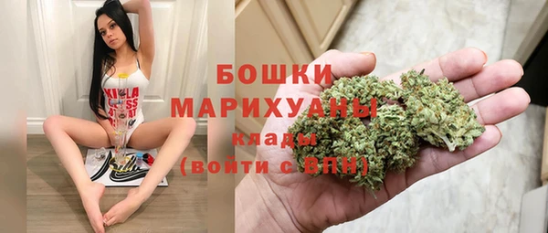 прущие грибы Пересвет