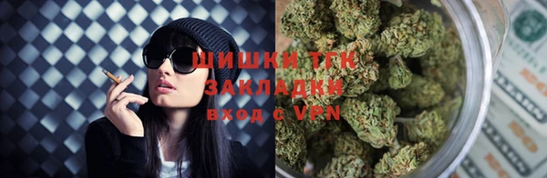 прущие грибы Пересвет