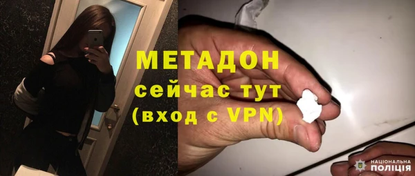 прущие грибы Пересвет