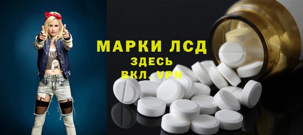 прущие грибы Пересвет