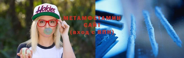 прущие грибы Пересвет