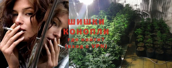 прущие грибы Пересвет