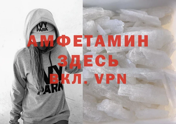 прущие грибы Пересвет