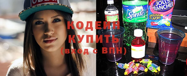 прущие грибы Пересвет