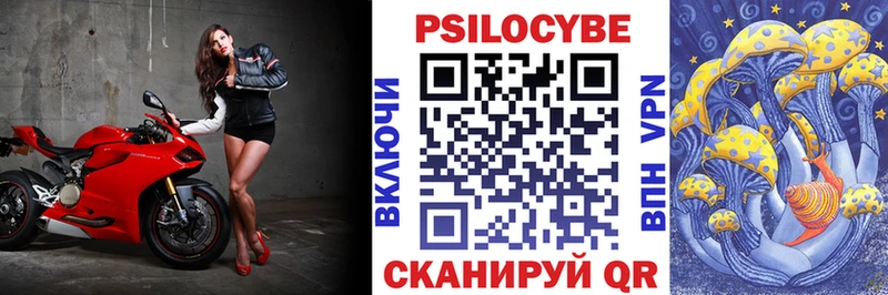 Купить закладки  Среднеуральск  Галлюциногенные грибы мицелий 